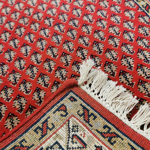 Saruk Mir, 153x75 - Bilde 3