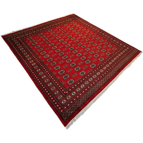Pakistansk Bokhara teppe, 245x242 - Bilde 2