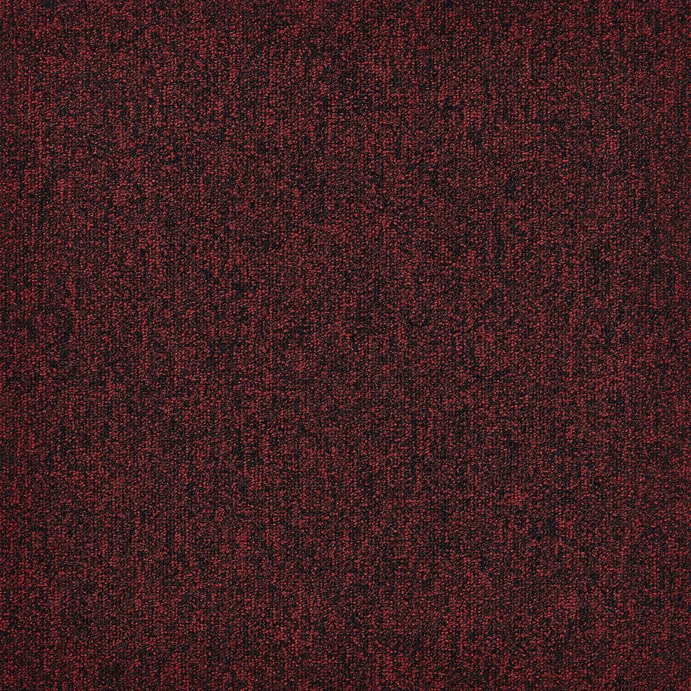 A1 010