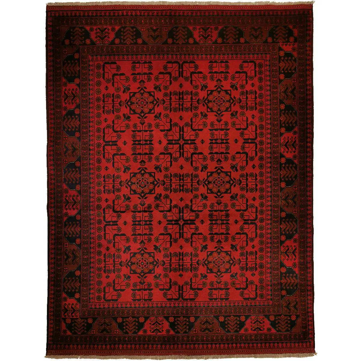 Afghan