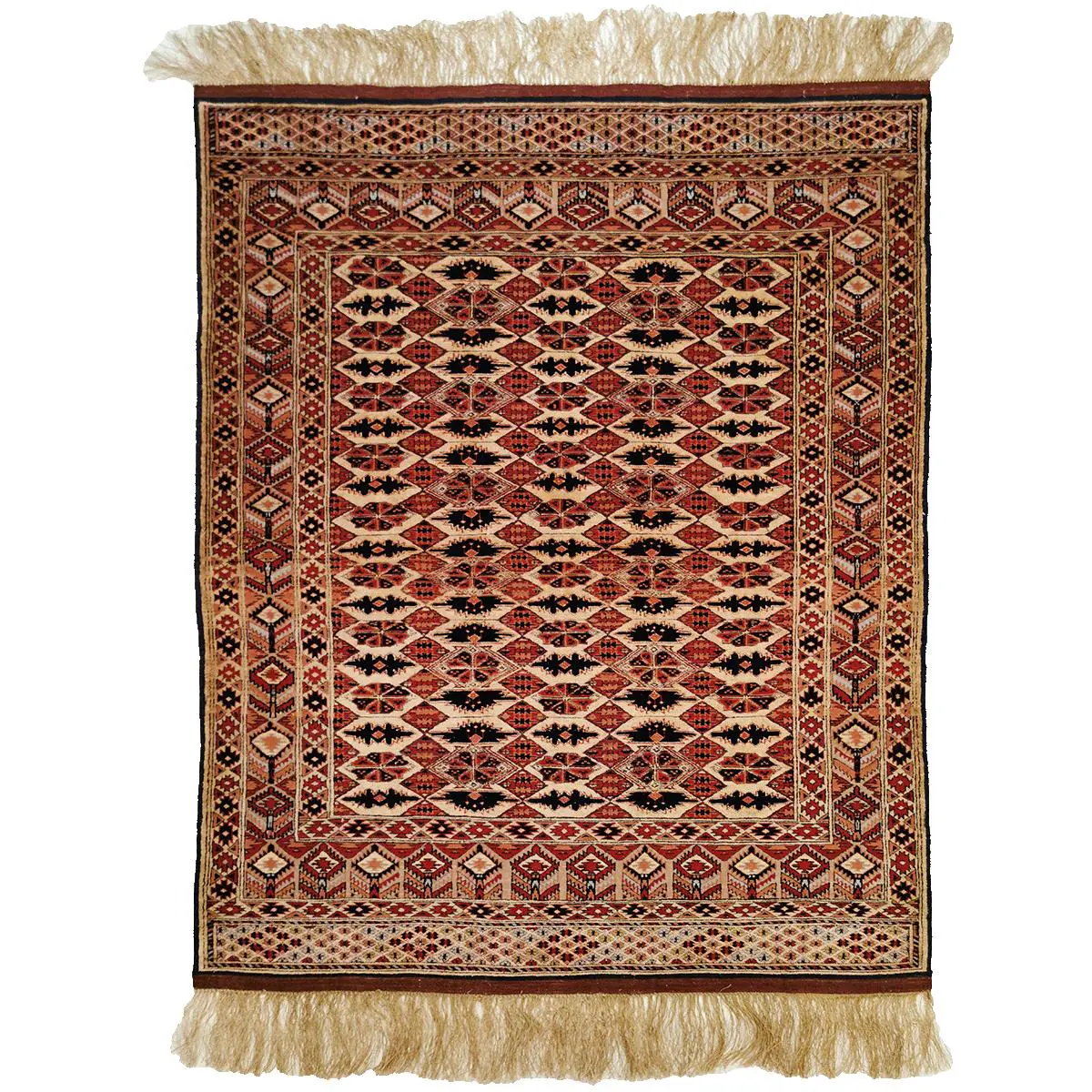 Afghan