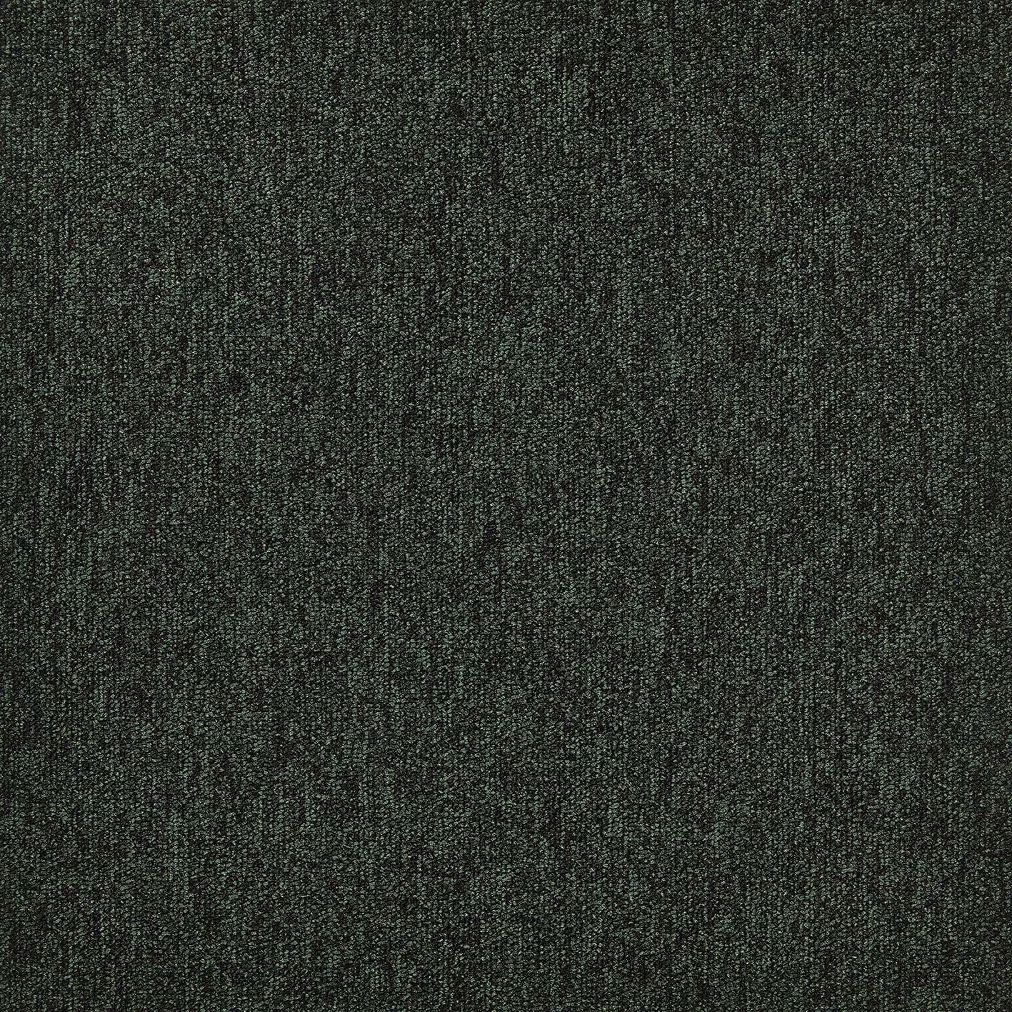 A1 017
