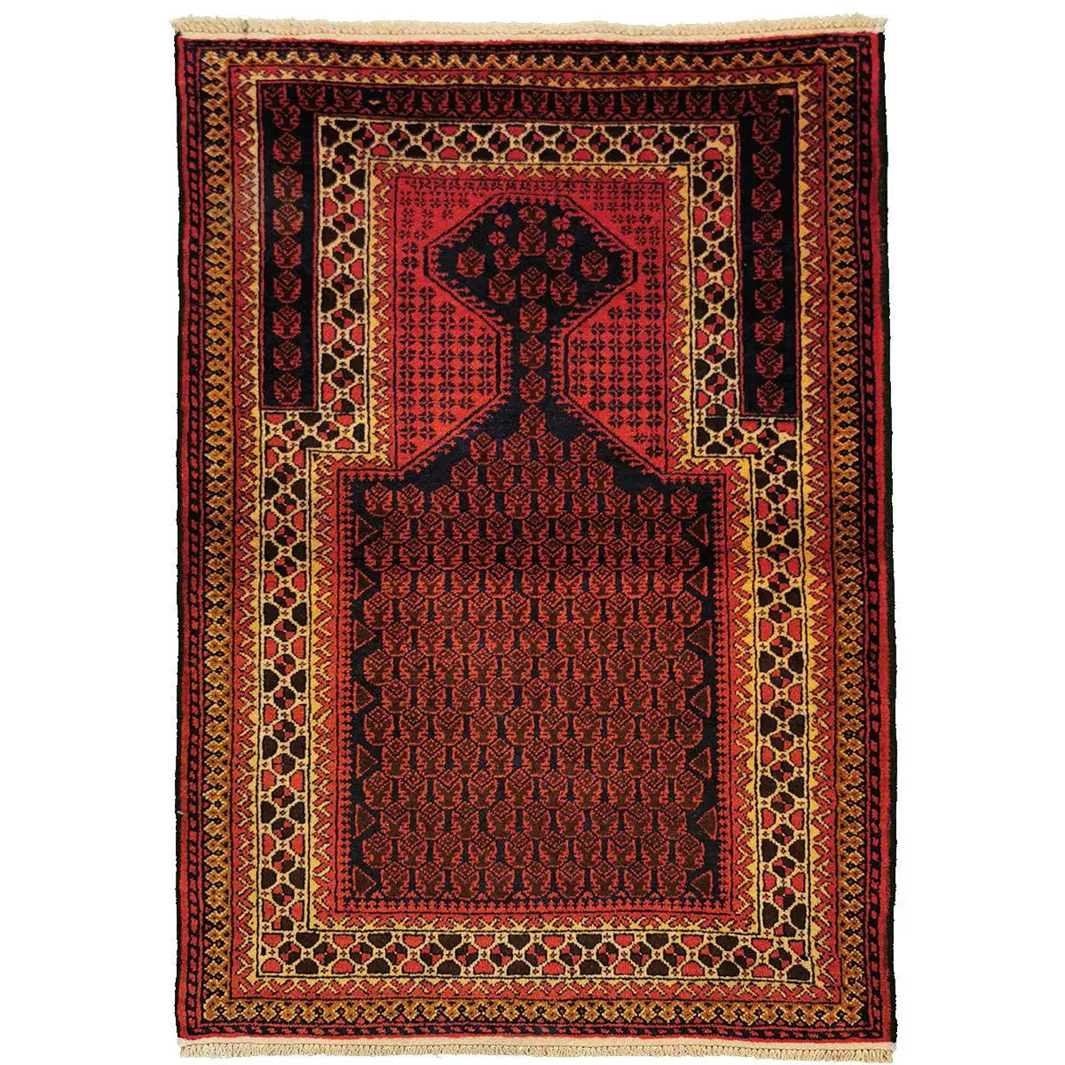 Afghansk Beluch teppe