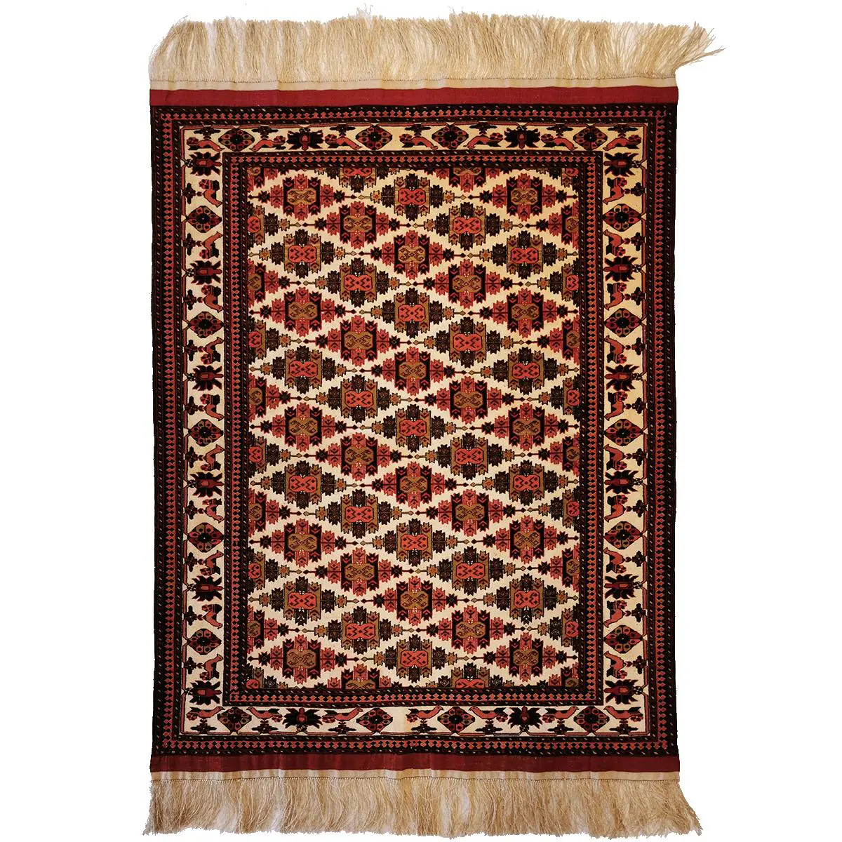 Afghan