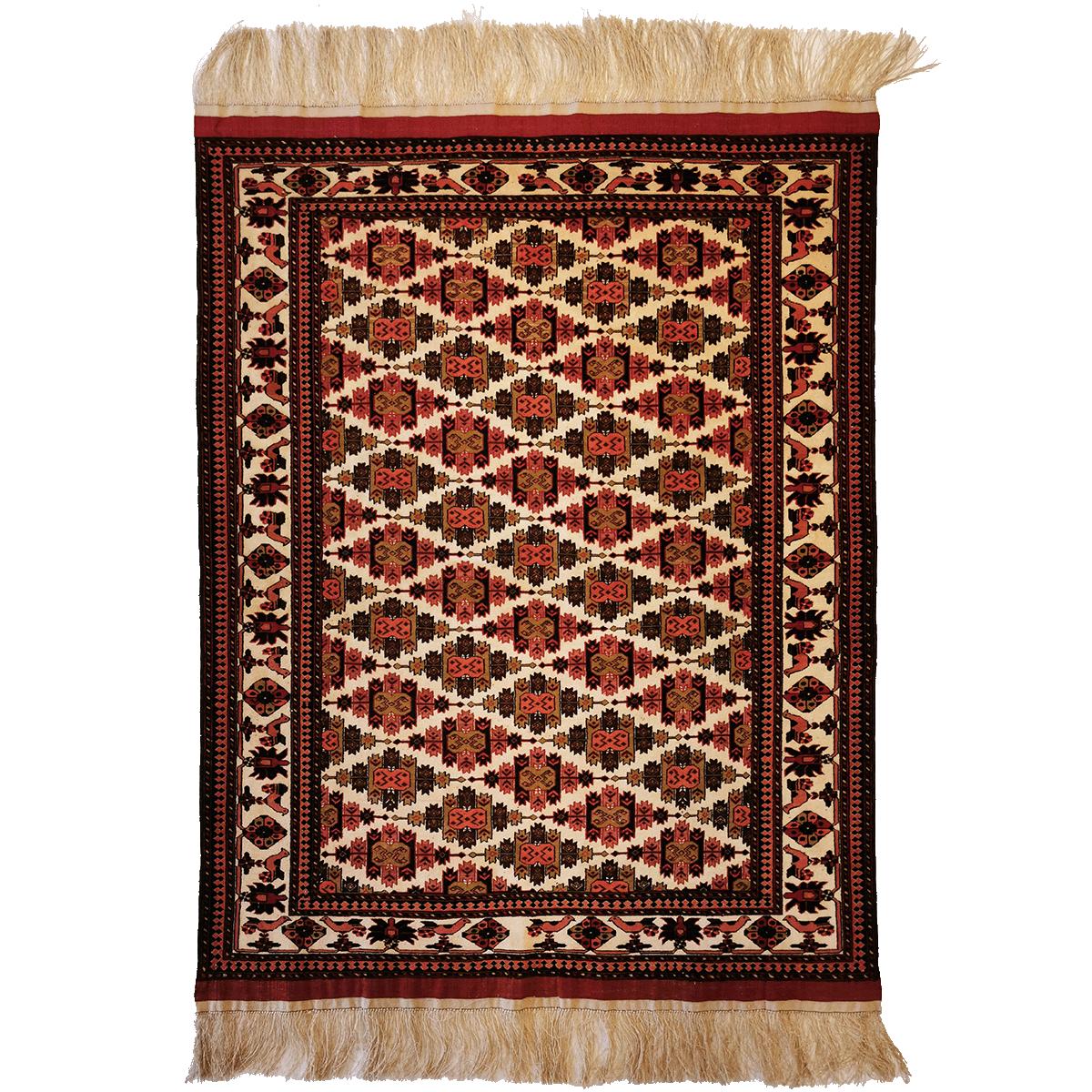 Afghan