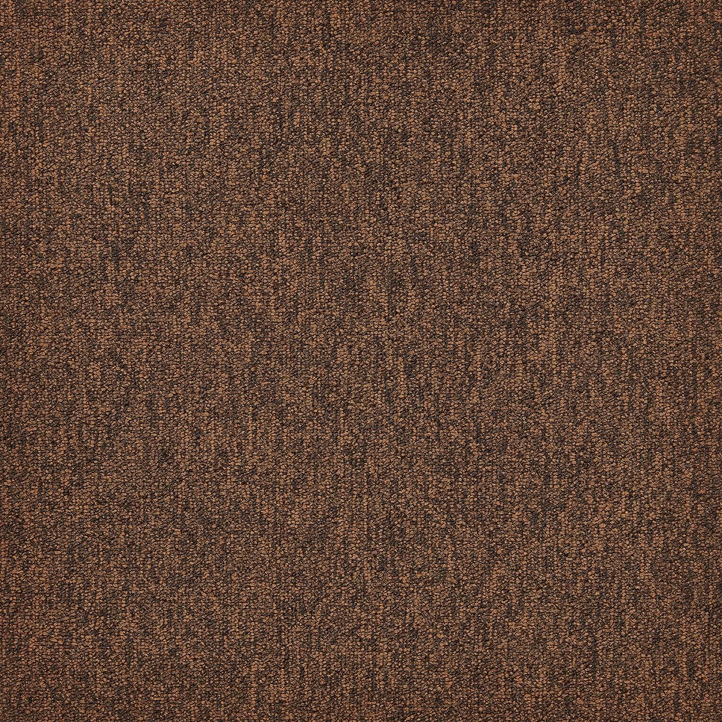 A1 009