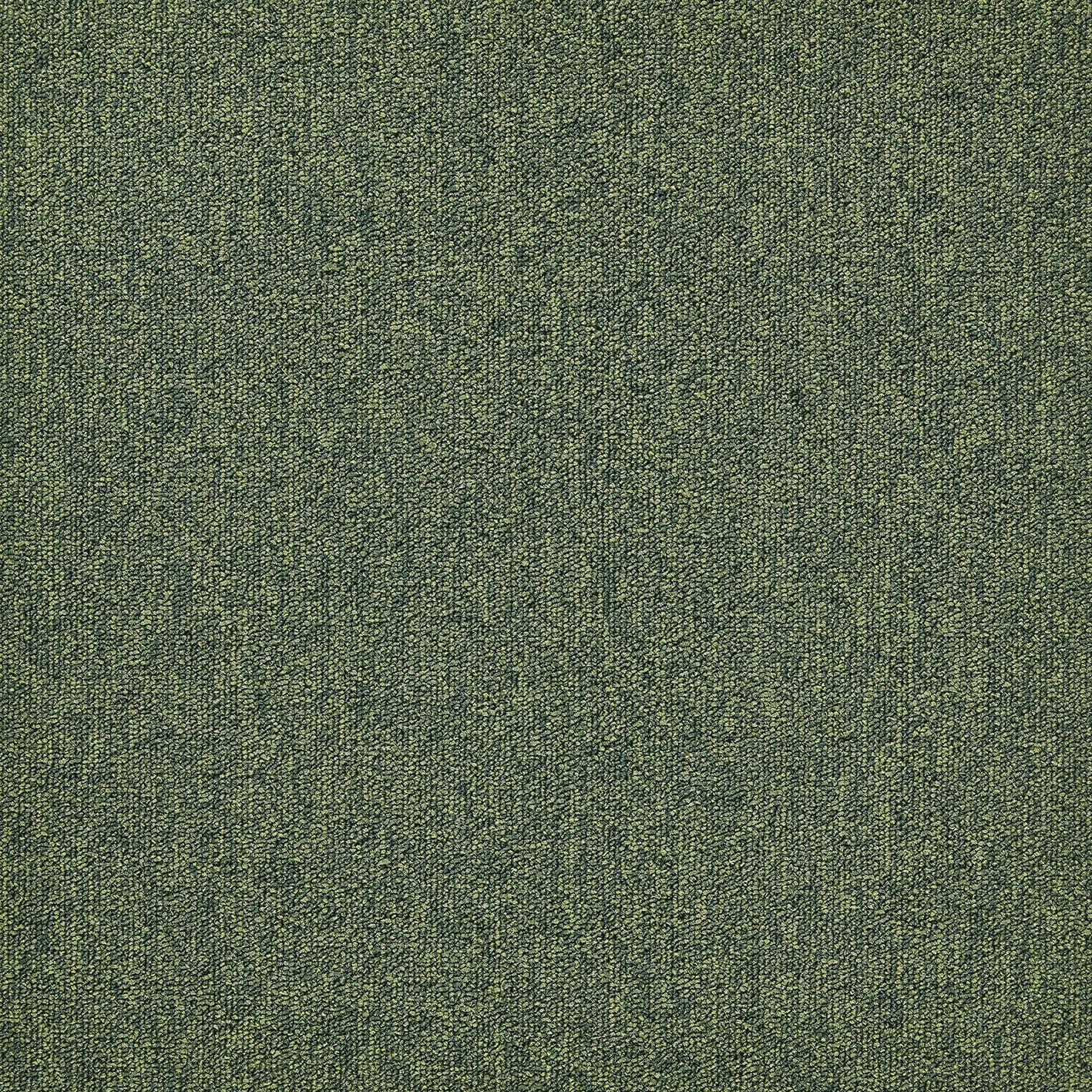 A1 018